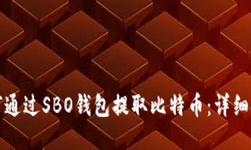 如何通过SBO钱包提取比特币：详细指南