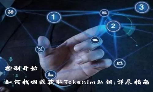控制开始

如何找回或获取Tokenim私钥：详尽指南
