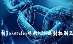 深入解析TokenIm中的KIN映射机制及其应用