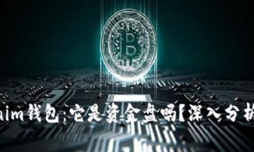 Tokentokenim钱包：它是资金盘吗？深入分析与风险警示