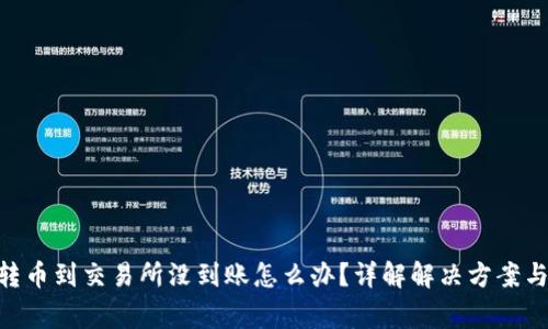 tokenim转币到交易所没到账怎么办？详解解决方案与注意事项