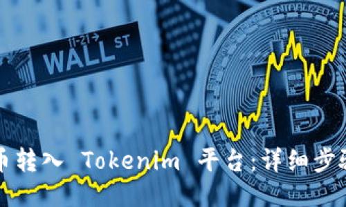 如何将币转入 Tokenim 平台：详细步骤与指南