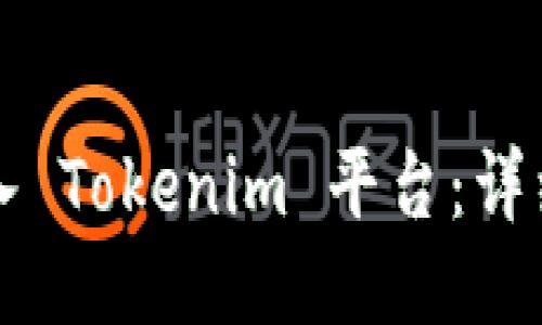 如何将币转入 Tokenim 平台：详细步骤与指南