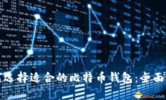 如何选择适合的比特币钱包：全面指南