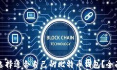 如何选择适合自己的比特币钱包？全面指南