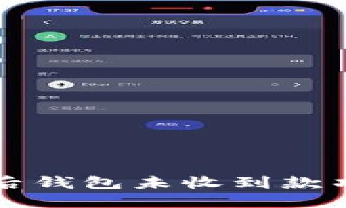 解决提现虚拟币后钱包未收到款项问题的全面指南