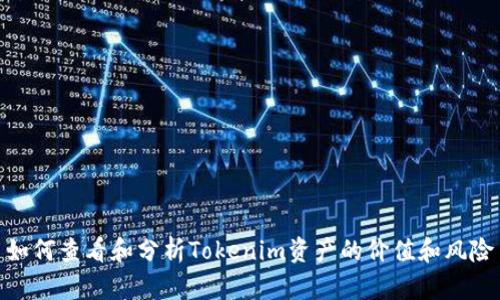 如何查看和分析Tokenim资产的价值和风险