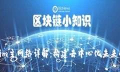 Tokenim主网络详解：构建去