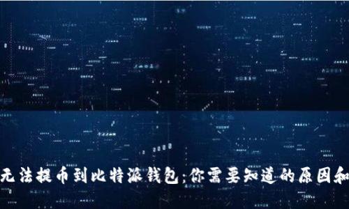 为何NEO无法提币到比特派钱包：你需要知道的原因和解决方案