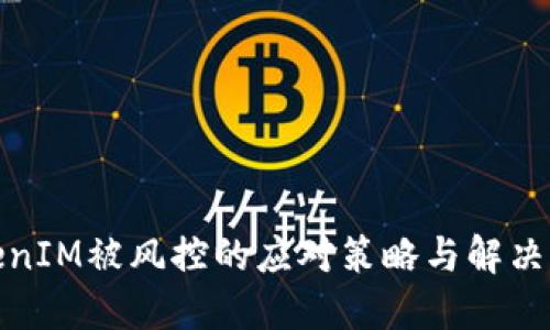 TokenIM被风控的应对策略与解决方案