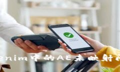 如何解决Tokenim中的AE未映射问题：全面指南