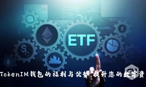 了解TokenTokenIM钱包的福利与优势，提升您的数字资产管理体验