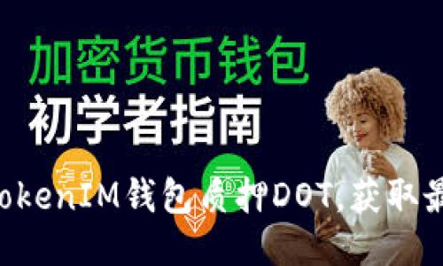 如何通过TokenTokenIM钱包质押DOT，获取最大收益与安全性