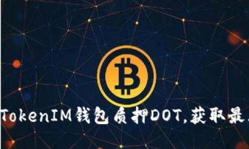 如何通过TokenTokenIM钱包质押DOT，获取最大收益与安全性