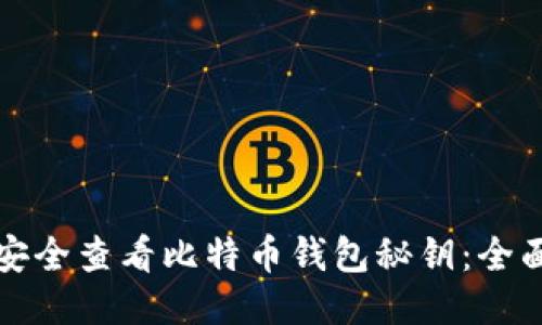 如何安全查看比特币钱包秘钥：全面指南