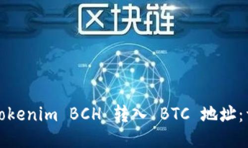 如何将Tokenim BCH 转入 BTC 地址：详细指南