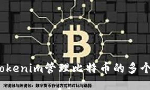 如何用Tokenim管理比特币的多个子地址？