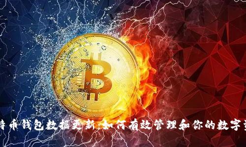 比特币钱包数据更新：如何有效管理和你的数字资产