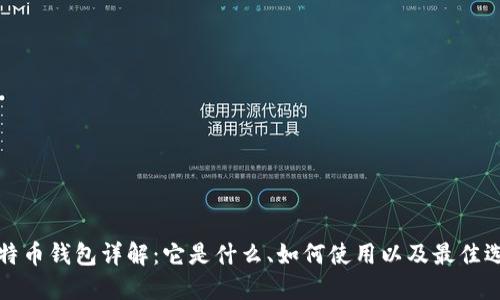 比特币钱包详解：它是什么、如何使用以及最佳选择
