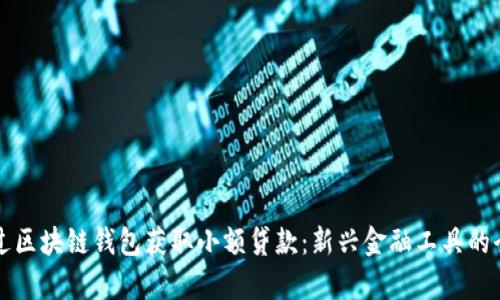 如何通过区块链钱包获取小额贷款：新兴金融工具的全景解析