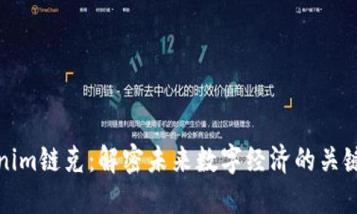 Tokenim链克：解密未来数字经济的关键资产