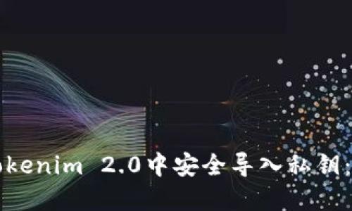如何在Tokenim 2.0中安全导入私钥：完整指南