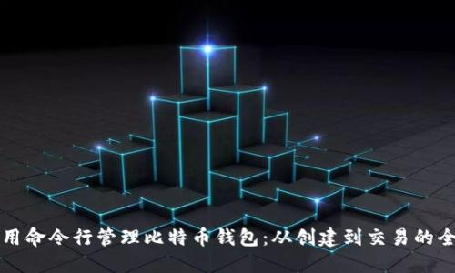 如何使用命令行管理比特币钱包：从创建到交易的全面指南
