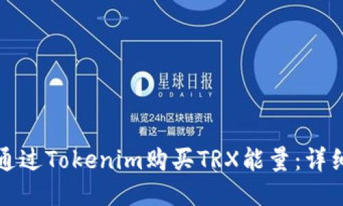 如何通过Tokenim购买TRX能量：详细教程
