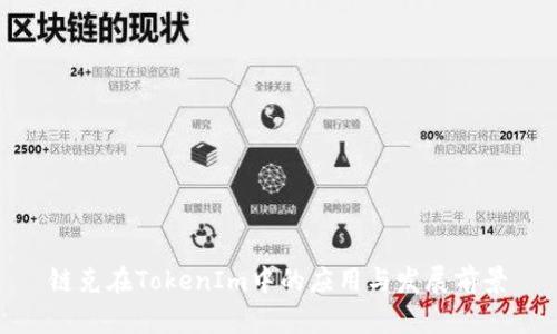 链克在TokenIm中的应用与发展前景