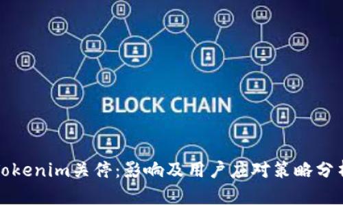 Tokenim关停：影响及用户应对策略分析