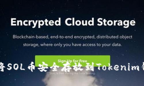 如何将SOL币安全存放到Tokenim钱包中
