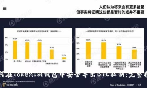 如何在TokenIm钱包中安全导出BTC私钥：完整指南