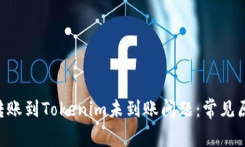 如何解决EOS转账到Tokenim未到账问题：常见原因与解决方案
