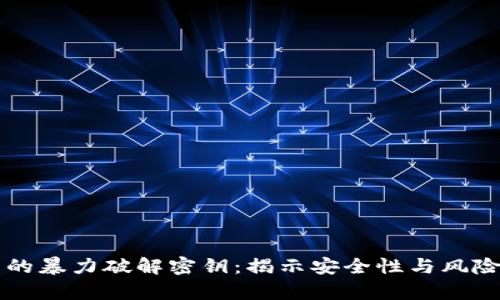 比特币钱包的暴力破解密钥：揭示安全性与风险的深度分析