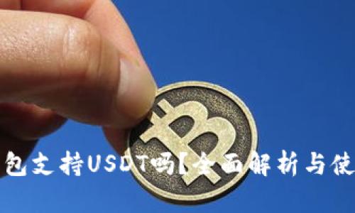 极客钱包支持USDT吗？全面解析与使用指南