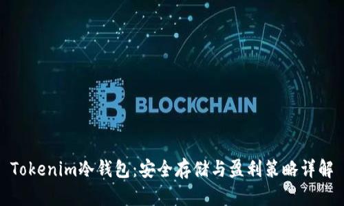 Tokenim冷钱包：安全存储与盈利策略详解