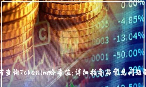 如何查询Tokenim哈希值：详细指导与常见问题解答