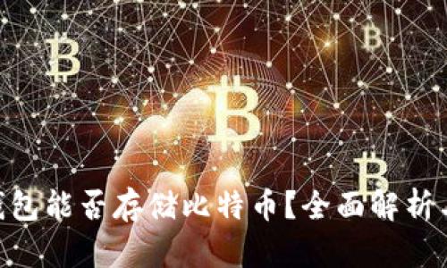 Tokenim钱包能否存储比特币？全面解析与使用指南