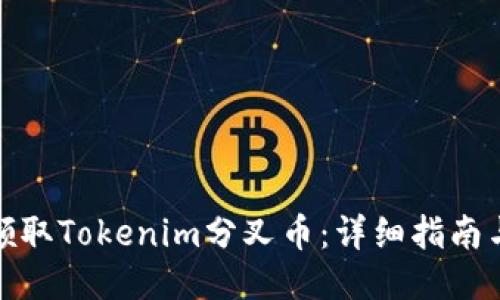 如何领取Tokenim分叉币：详细指南与策略