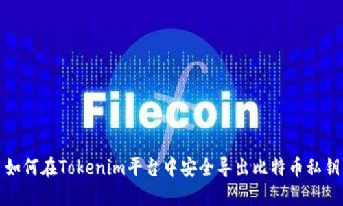 如何在Tokenim平台中安全导出比特币私钥