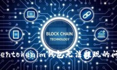 如何解决Tokentokenim钱包无