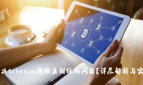 如何解决tokenim转账未到账的问题？详尽解析与实用指南