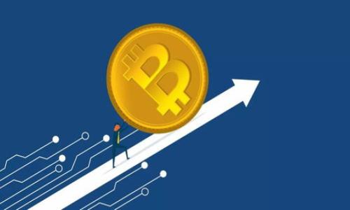 

全面解析比特币钱包公钥代码及其应用