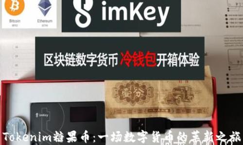 
Tokenim糖果币：一场数字货币的革新之旅