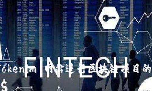 如何利用 Tokenim 网站进行区块链项目的融资与投资