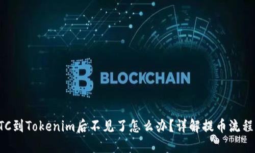 火币提币BTC到Tokenim后不见了怎么办？详解提币流程与解决方案