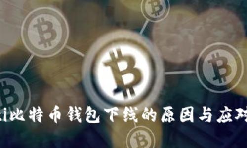 biajti比特币钱包下线的原因与应对措施