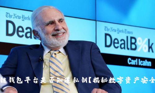 区块链钱包平台是否知道私钥？揭秘数字资产安全之道