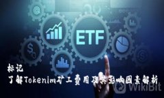 标记了解Tokenim矿工费用及