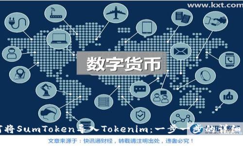 如何将SumToken导入Tokenim：一步一步的详细指南